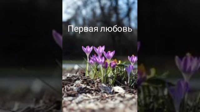 Эразм Приближанский. Первая любовь