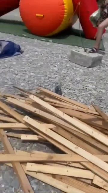 Женщина на пляже Бухта Инал была очень возмущена, когда увидела торчащие гвозди