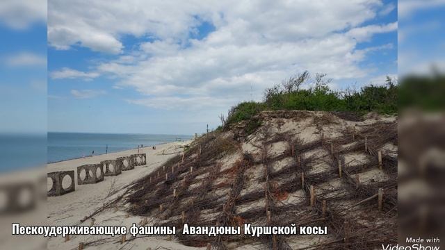 В "Террасе" и прогулка по парку отеля "Маяковский" у дюны Лесного на Куршской косе 28 мая 2025