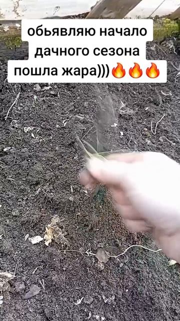 дачный сезон открыт!!!!