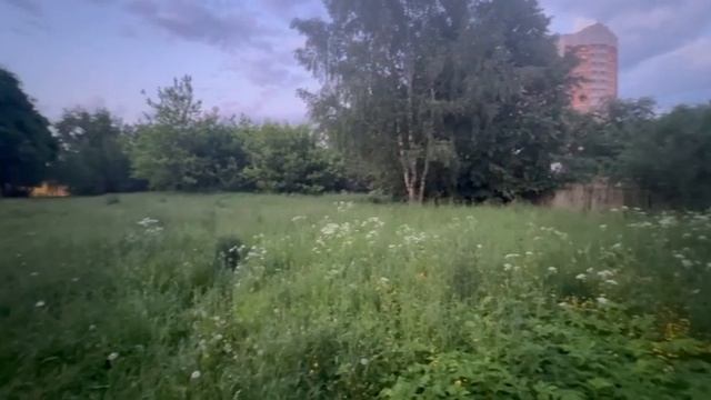 Предоставление в аренду земельного участка