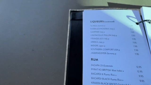 POOL BAR DRINK MENU ON AZAMARA JOURNEY SHIP/ Цена на напитки Азамара