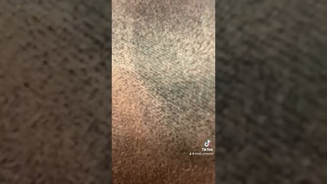 День начинается не с кофе