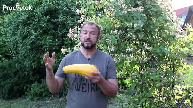 хелат железа.avi