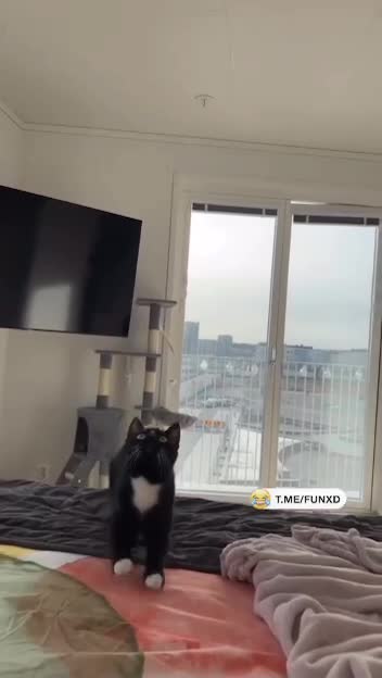 А вы это удобно придумали, кожаные!😄