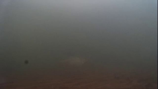 Подводное видео после ледостава 24.11.16г.