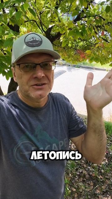 зачем нужна регрессия