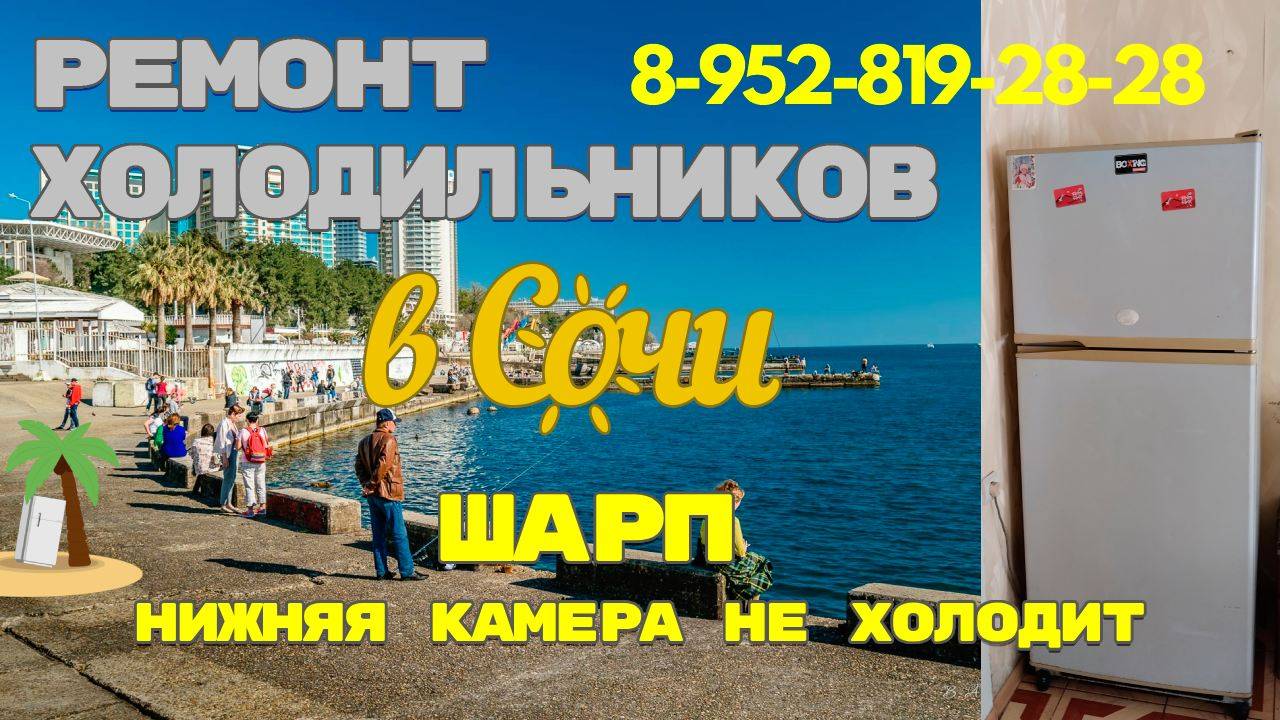 Холодильник Шарп не холодит нижняя камера 2я серия