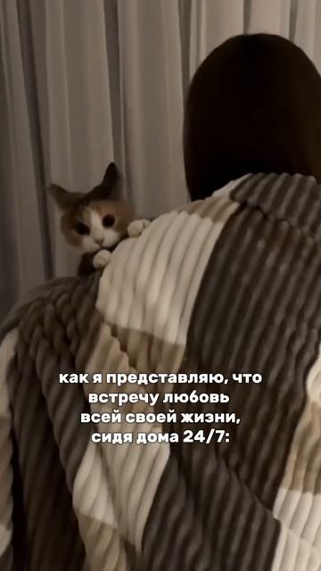 Парадокс🙄