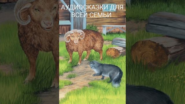 ПЛУТИШКА КОТ