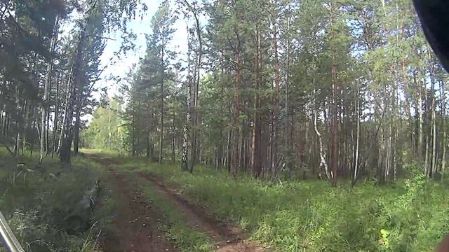 На глухаря.