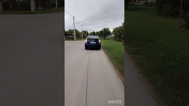 #питбайк_начали_пробуждать