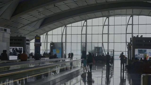 Временные ограничения введены в аэропортах Внуково и Жуковский