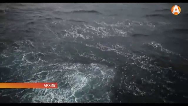 Барк «Седов» готовится совершить два рейса в рамках у?