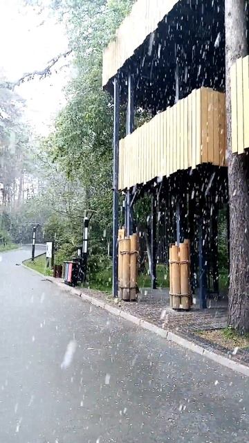 Снег в Новосибирском зоопарке 27.05.2025
