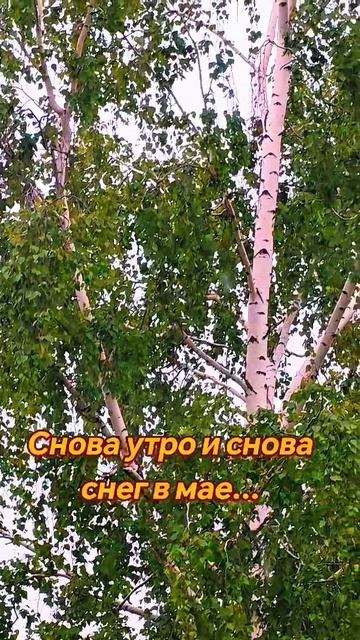 Утро среды 28 мая не задалось