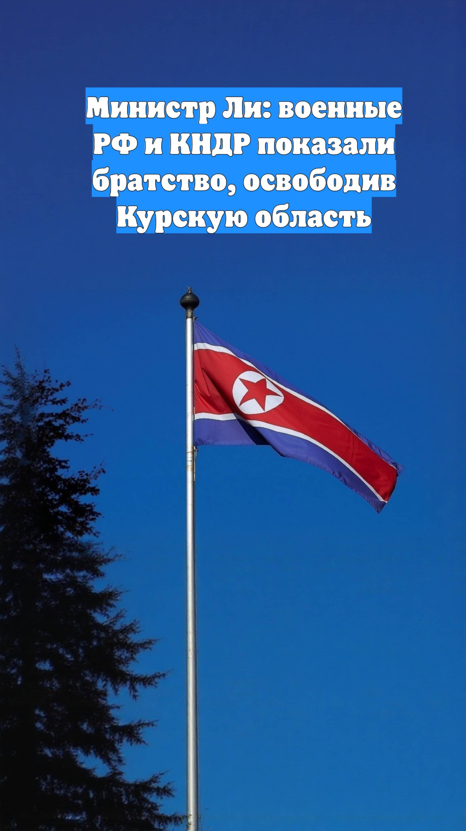 Министр Ли: военные РФ и КНДР показали братство, освободив Курскую область