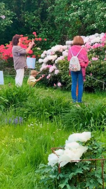 🌺Огромные пионы расцвели в Ботаническом саду МГУ на Воробьевых горах🌺