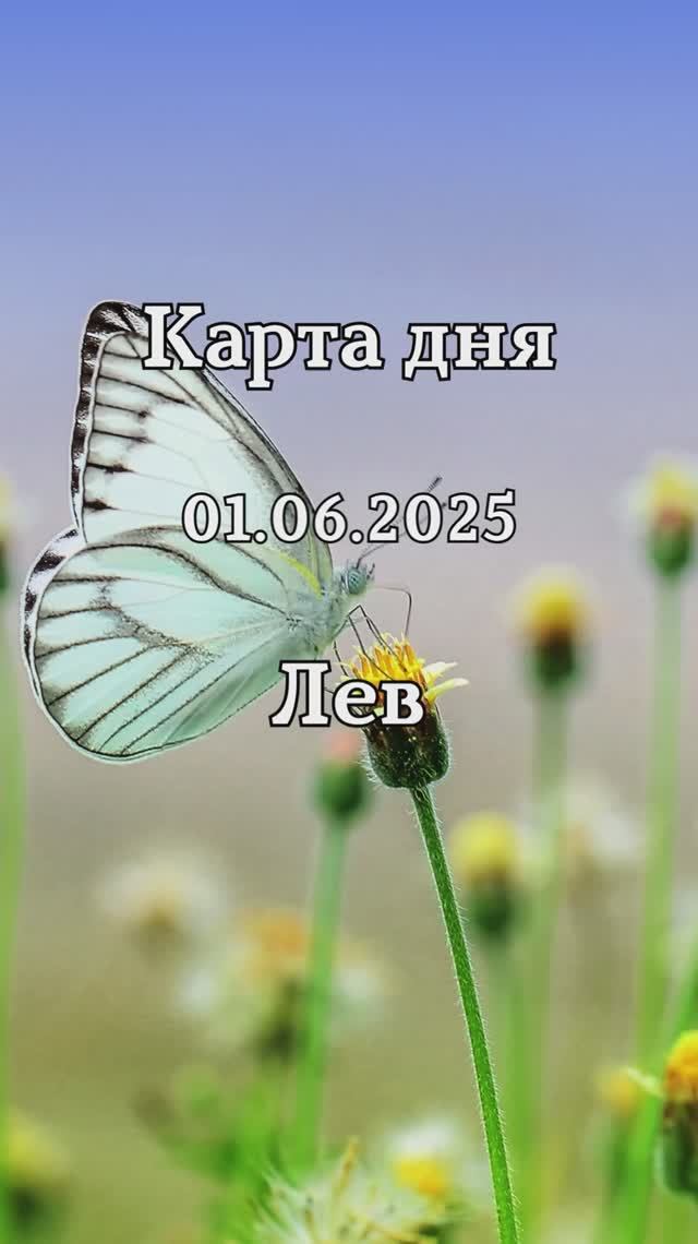 ✨Карта дня 01.06.2025✨ Лев