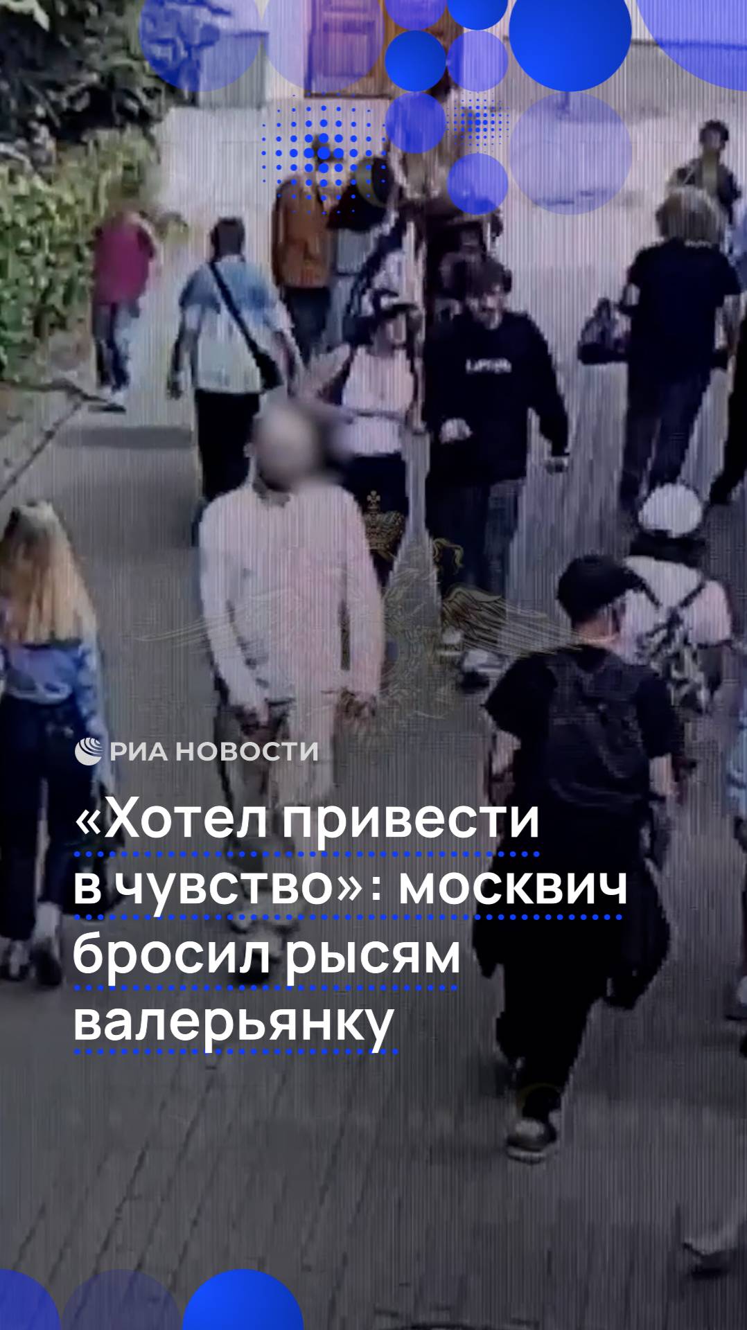 "Хотел привести в чувство": москвич бросил рысям валерьянку