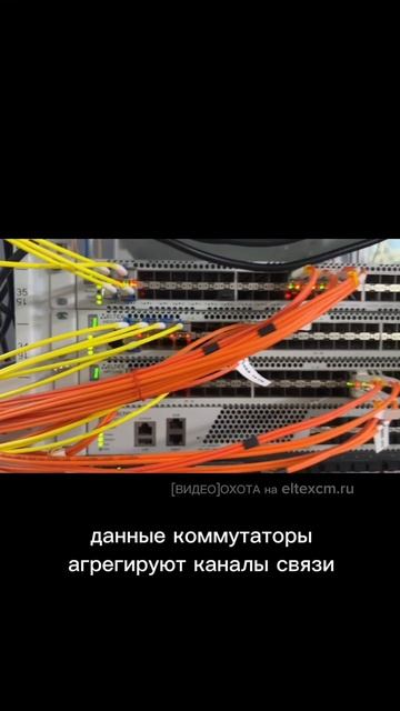 Стойка с оборудованием Eltex:  MES5448, MES7048. Видео[Охота] на eltexcm.ru