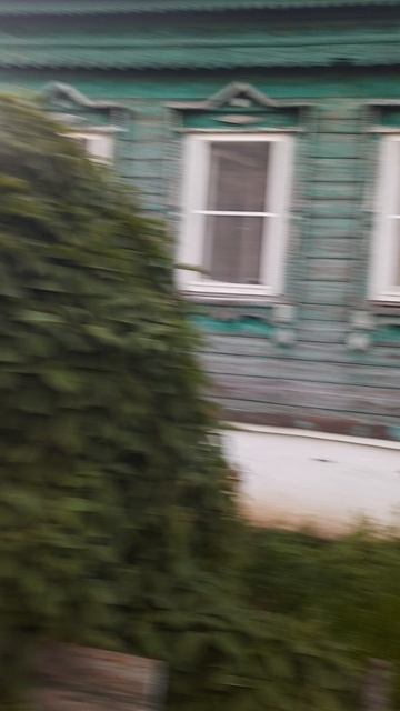 20250528_195552.mp4