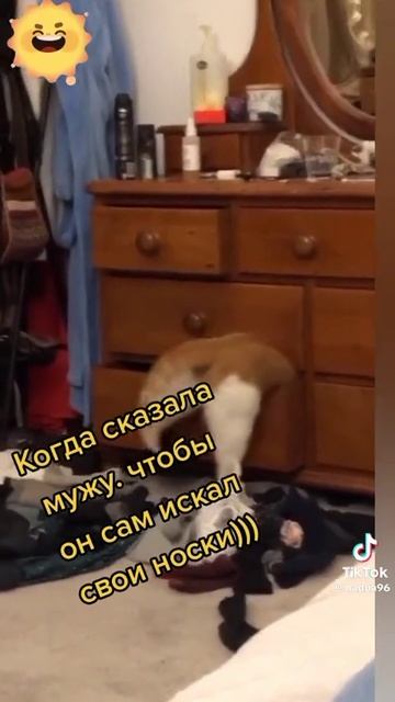 1000098660.mp4