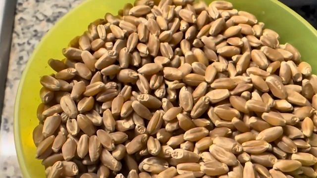 3-сабак. Ич каткандан ( запор) ич өткөктөн биротоло куту