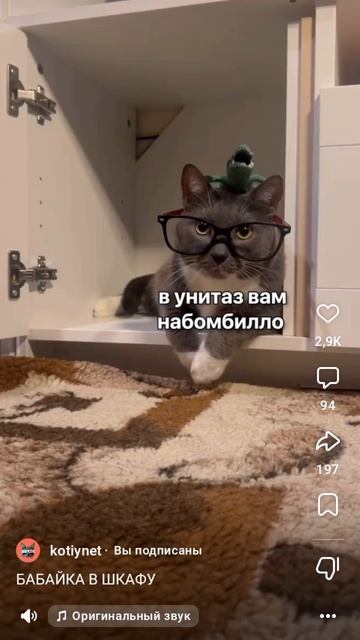 мем