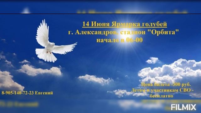 14 Июня Состоится ярмарка голубей в г. Александров