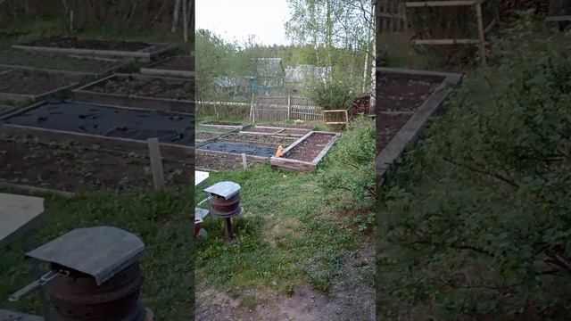 Добрейшее утро 28.05!