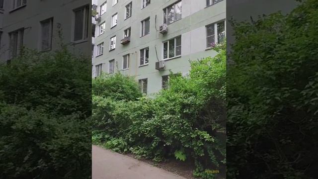 Moscow, Chertanovo Yuzhnoye district 10.05.2025