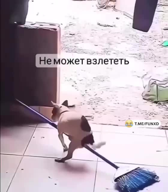 Гарри Поттер уже не тот😆