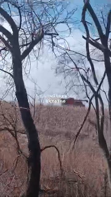‼️🇺🇦 Обстановка в украине