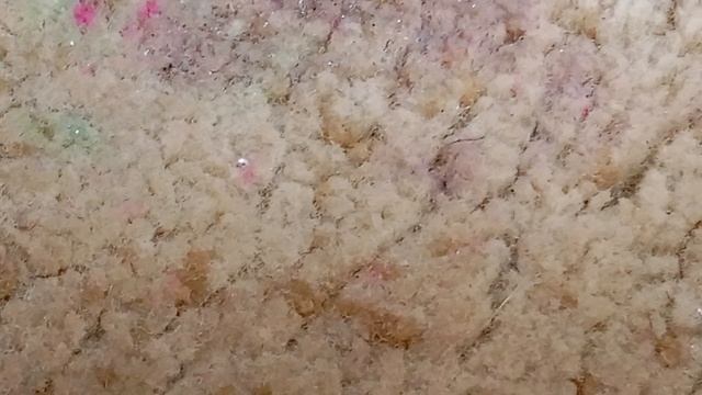 1000014179.mp4