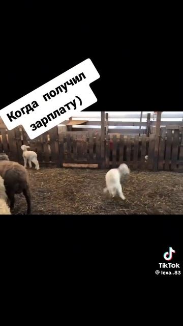 1000098613.mp4