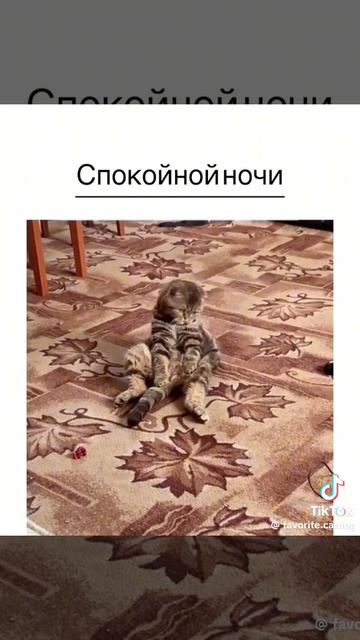 1000098658.mp4