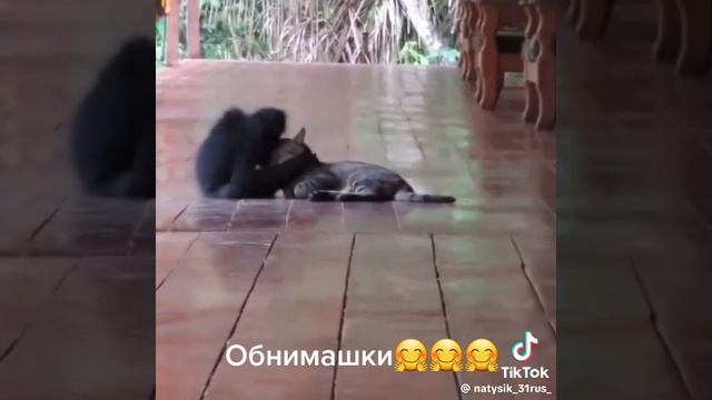 1000099047.mp4