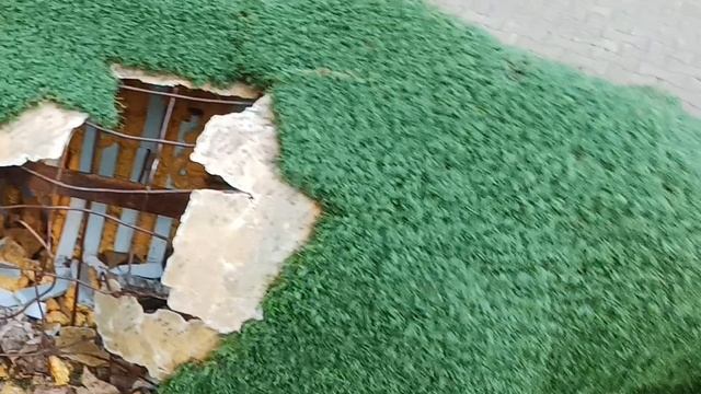 Нападение на топиарных медведей в парке Динамо