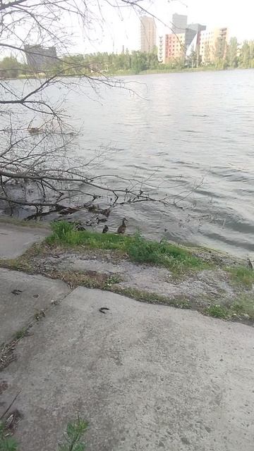 На набережной Донецка