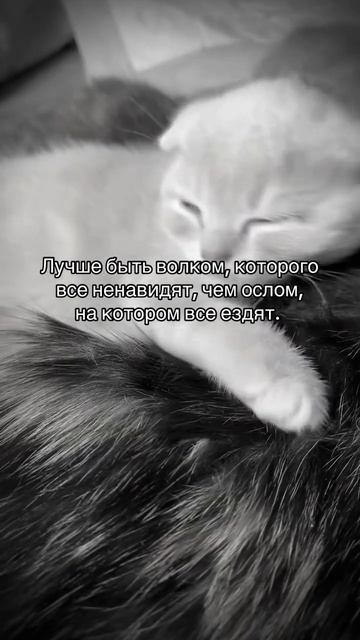 Выбор за тобой