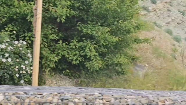 #36.Анапа.Очередная прогулка Дельфины. День Пограничника.