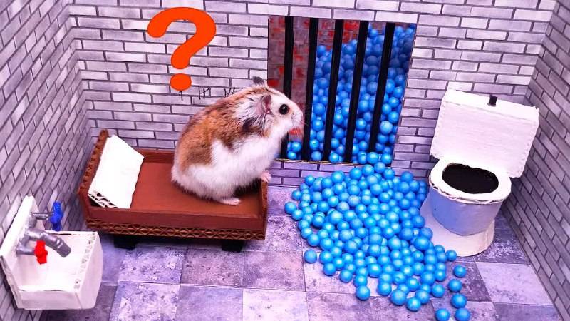 🐹Умнейший Хомячок сбегает из самого сложного лабиринта! Приключения Хомячка Хомы для детей