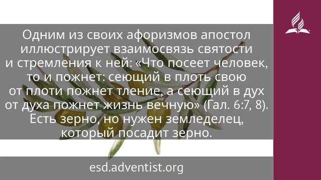 29 мая 2025. Святость с засученными рукавами. Под сенью благодати _ Адвентисты
