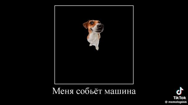 всем привет