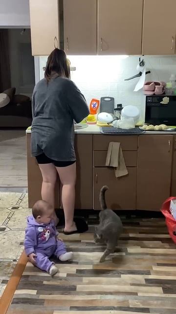 Cat Calms Down a Baby __ ViralHog