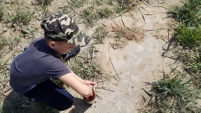 Отличная летняя рыбалка. Клёв сазана, карася, судака и просто приятное время провождение.