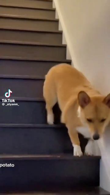 1000098760.mp4