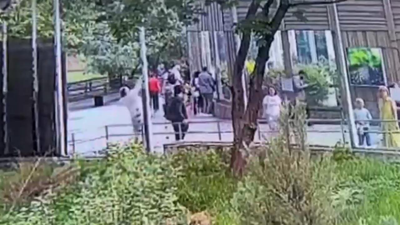 В Москве задержали подозреваемого в попытке отравления животных в зоопарке
