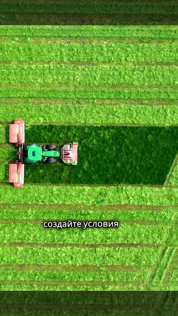 Как разводить жителей в Minecraft